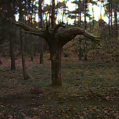 Storm 1990 monument